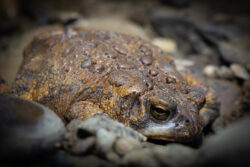 Wildlife and camping photography Sean Bolton